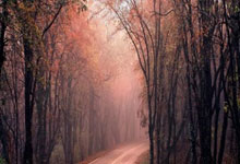 米体：尤文考虑更换主帅莫塔的可能性，曼奇尼与图德尔是候选.