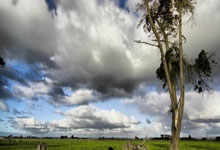 补锅补进欧战区❗️拉涅利率罗马暂升第6+取7连胜，接手时仅第12.