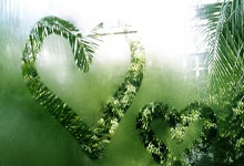 华体会体育：沙特主帅：卡迪什因伤退出本期名单，将无缘出战日本.