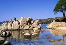 华体会体育：斩获8金！亚冬会中国代表团一日创下多项纪录央视新闻客户端.